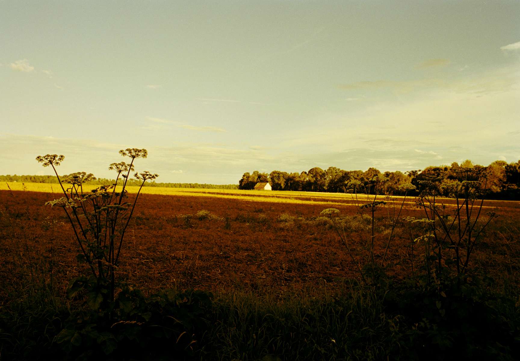 Île-de-France - 2000