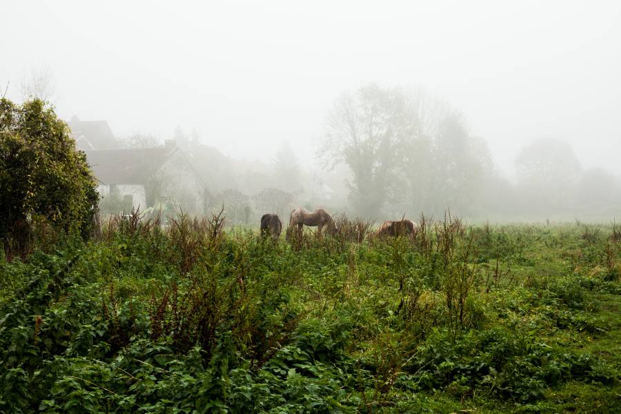 Seine-et-Marne - novembre 2014