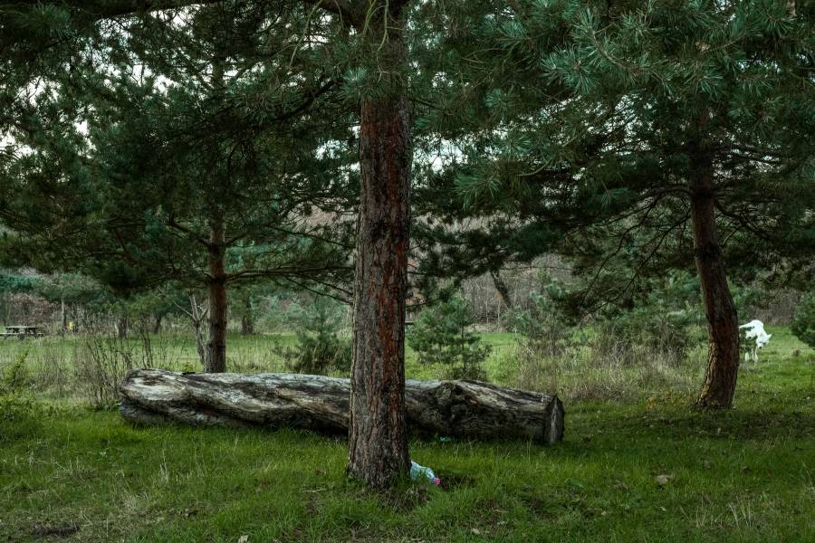 Bois de Vincennes - 2014