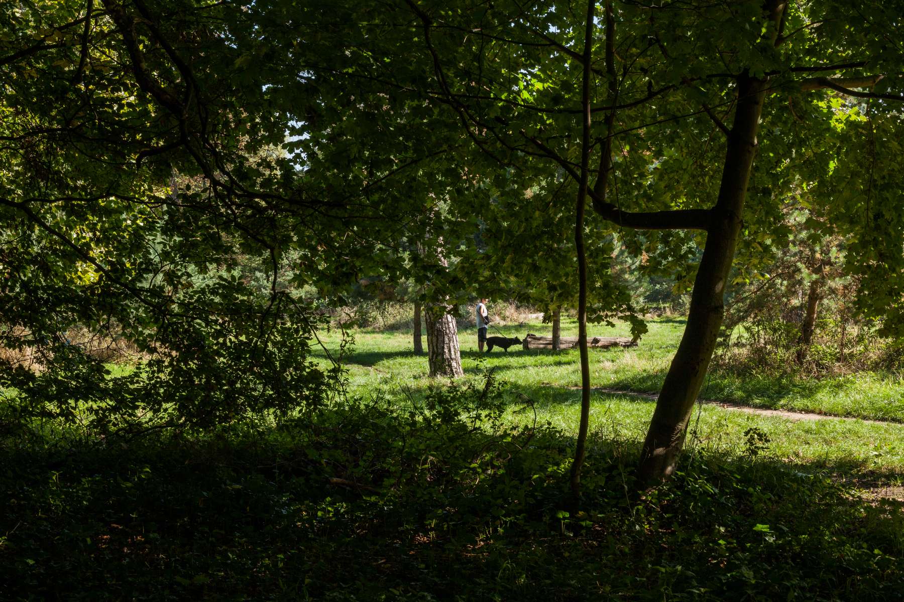 Bois de Vincennes - 2013